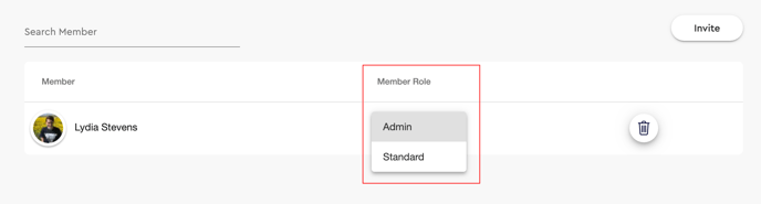member role selection - admin or standard team member